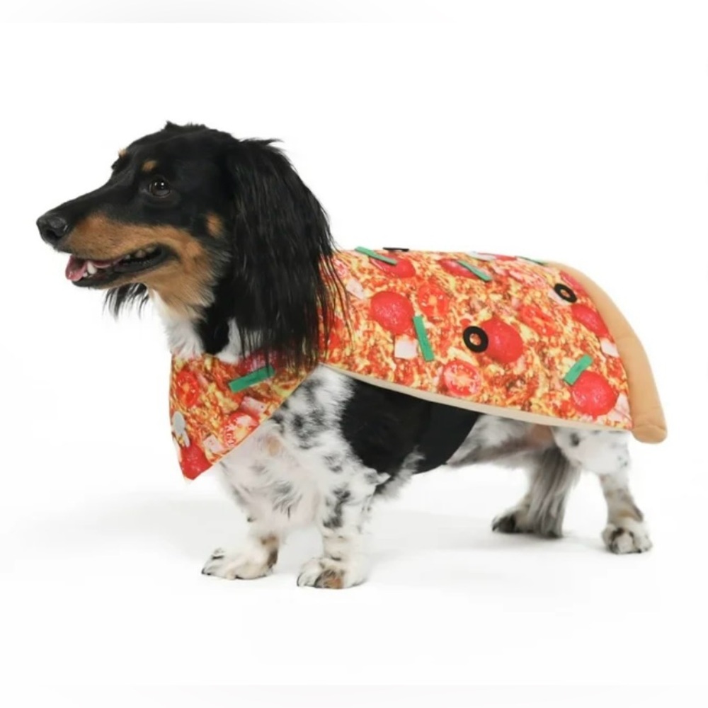 Pizza-Themed Dog Costume